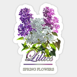 Vintage Lilac-Spring Flowers Lilacs-Gifts with printed flowers-Spring flower t-shirt-Floral shirt Sticker